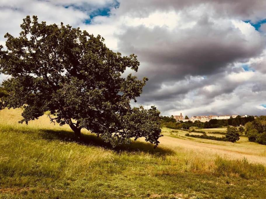 Maison Spacieuse Face Aux Pyrenees Hébergement de vacances *